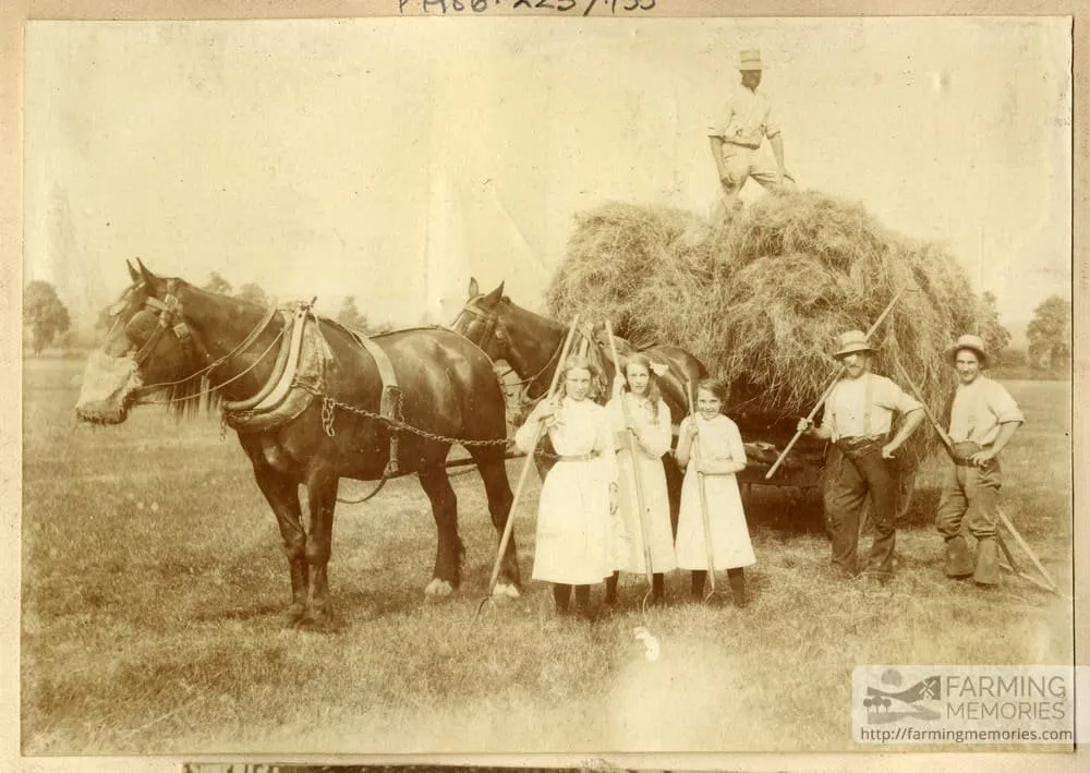 Sepia photograph of a haymaking scene, with two horses, a loaded hay wagon, three men and three girls holding their tools.