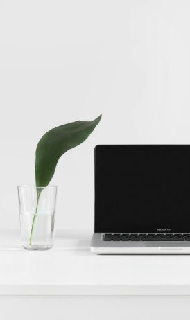Macbook next to glass with leaf propagating
